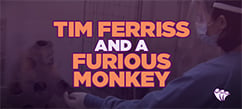 Tim Ferriss & A Furious Monkey Reveal the Most Important Lesson on Emotional Intelligence | Emotional Intelligence 