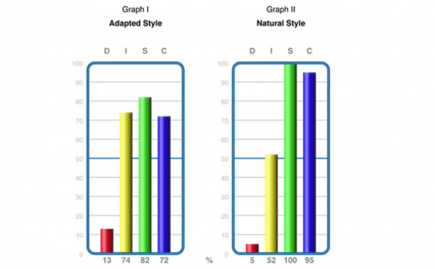 DISC Profile: The 2 DISC Graphs