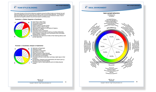 DISC team profile