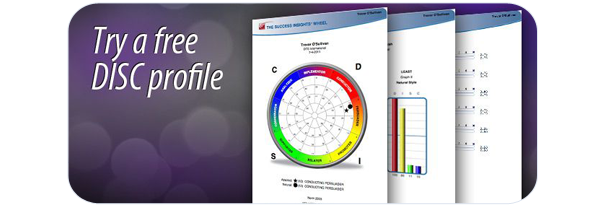 Free DISC Profile