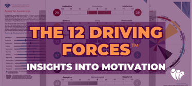 12 Driving Forces™ | Motivators Profile