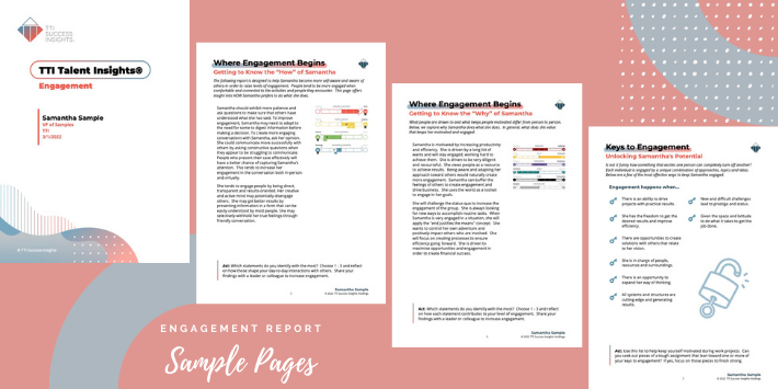 Engagement Report Sample Pages