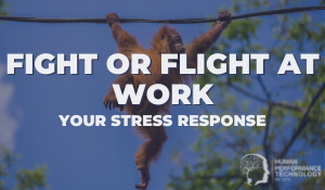 Fight or Flight at Work: Your Stress Response | Psychology 