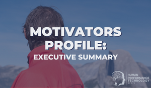 Motivators Profile: Executive Summary | Motivators & Drivers