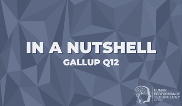 In a Nutshell: Gallup Q12 | Business Models