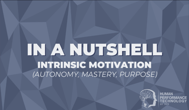 In a Nutshell: Intrinsic Motivation | Human Resources