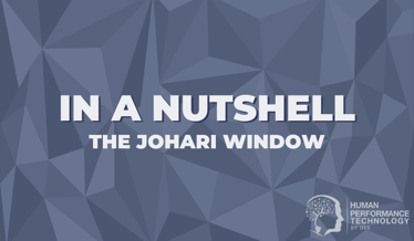 In a Nutshell: The Johari Window | Profiling & Assessment Tools