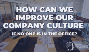 How Can We Improve our Company Culture | Profiling & Assessment Tools