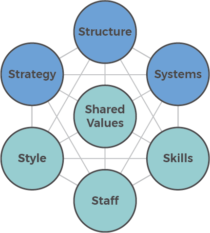 Exploring the McKinsey 7S