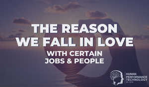 The Reason We Fall in Love (With Certain Jobs & People) | Profiling & Assessment Tools